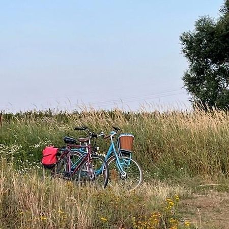 Lwb Ferienwohnung "Auszeit Im Denkmal" Wittenberg Zewnętrze zdjęcie